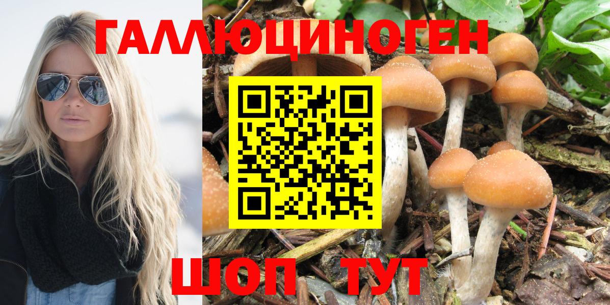 Галлюциногенные грибы мицелий Тулун